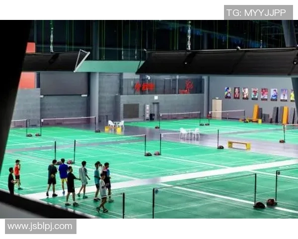 北京羽毛球队战术变革引发热议新策略助力球队提升竞技水平